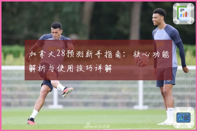 加拿大28预测新手指南：核心功能解析与使用技巧详解