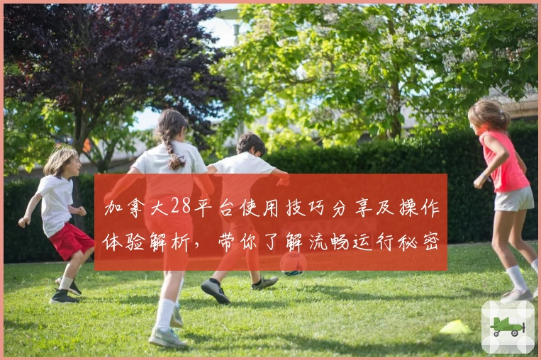 加拿大28平台使用技巧分享及操作体验解析，带你了解流畅运行秘密
