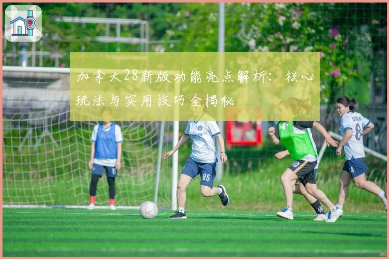 加拿大28新版功能亮点解析:核心玩法与实用技巧全揭秘