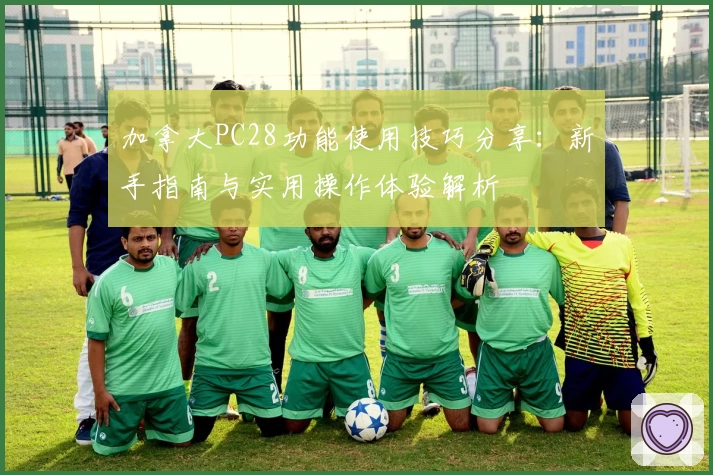 加拿大PC28功能使用技巧分享：新手指南与实用操作体验解析
