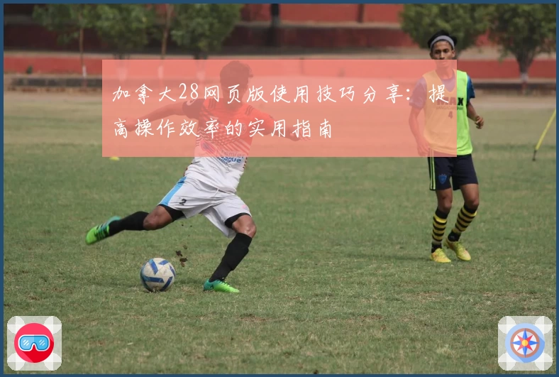加拿大28网页版使用技巧分享：提高操作效率的实用指南