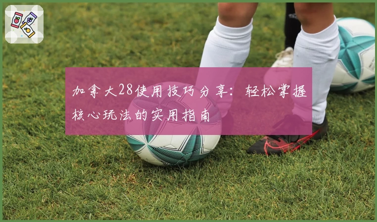 加拿大28使用技巧分享：轻松掌握核心玩法的实用指南
