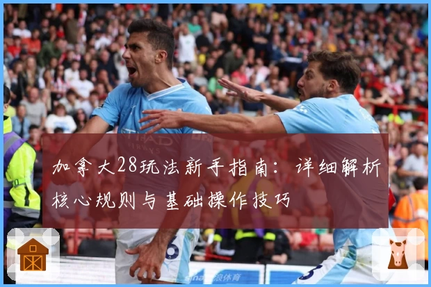 加拿大28玩法新手指南：详细解析核心规则与基础操作技巧
