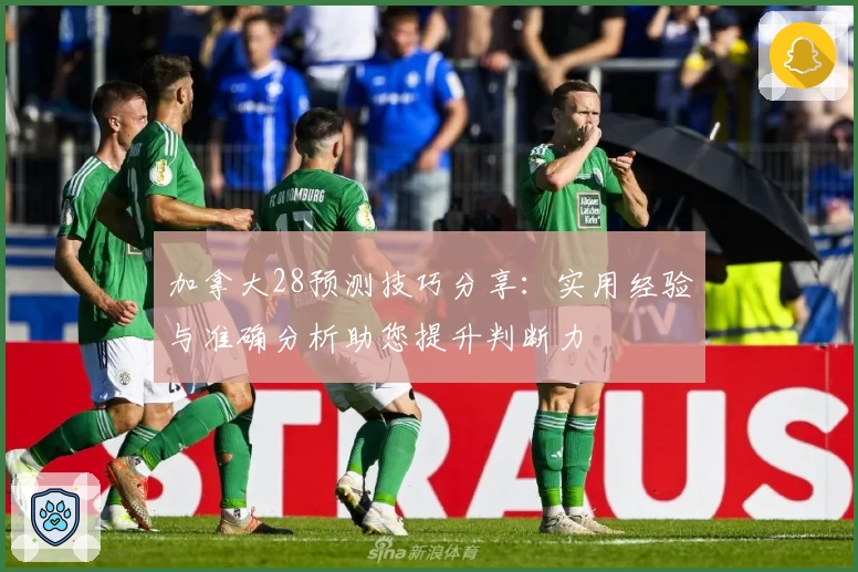 加拿大28预测技巧分享：实用经验与准确分析助您提升判断力
