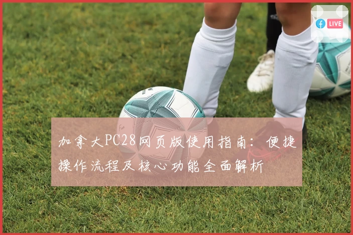 加拿大PC28网页版使用指南：便捷操作流程及核心功能全面解析