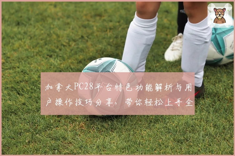 加拿大PC28平台特色功能解析与用户操作技巧分享，带你轻松上手全面体验