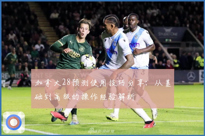 加拿大28预测使用技巧分享：从基础到高级的操作经验解析