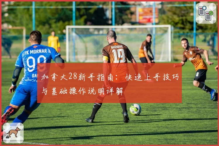 加拿大28新手指南:快速上手技巧与基础操作说明详解