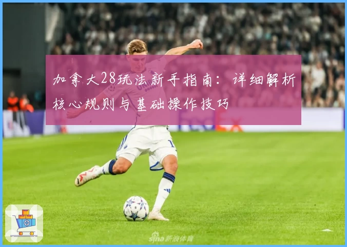 加拿大28玩法新手指南：详细解析核心规则与基础操作技巧