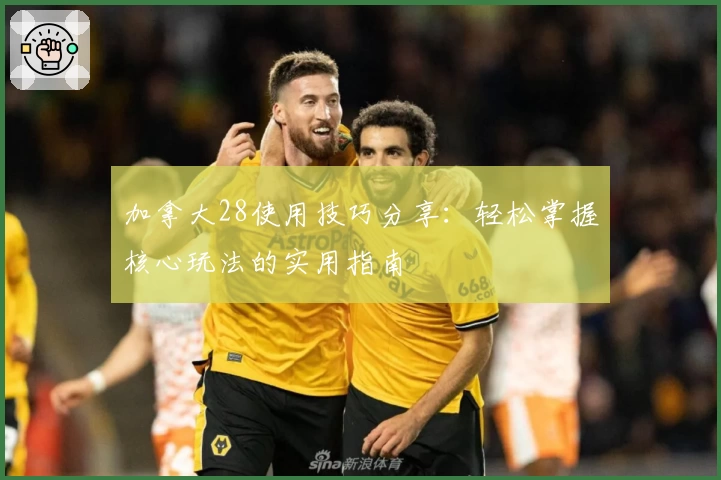 加拿大28使用技巧分享：轻松掌握核心玩法的实用指南