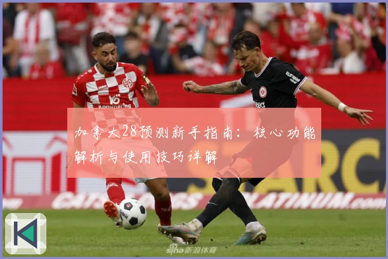 加拿大28预测新手指南：核心功能解析与使用技巧详解