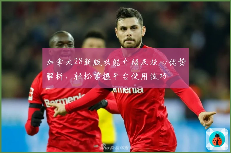 加拿大28新版功能介绍及核心优势解析，轻松掌握平台使用技巧