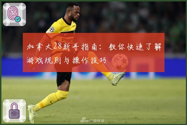 加拿大28新手指南：教你快速了解游戏规则与操作技巧