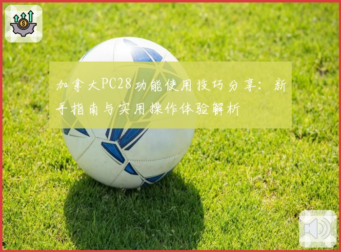 加拿大PC28功能使用技巧分享:新手指南与实用操作体验解析