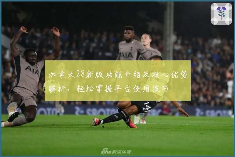 加拿大28新版功能介绍及核心优势解析，轻松掌握平台使用技巧