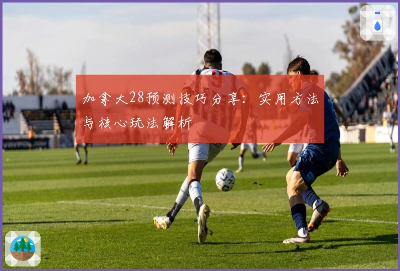 加拿大28预测技巧分享：实用方法与核心玩法解析